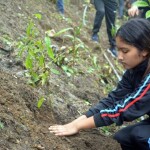 IMG-20190724-WA0011-min